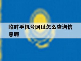临时手机号网址怎么查询信息呢
