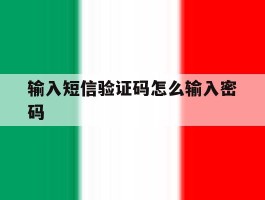 输入短信验证码怎么输入密码