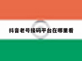 抖音老号接码平台在哪里看