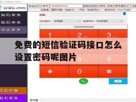 免费的短信验证码接口怎么设置密码呢图片的简单介绍