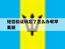 包含短信验证码忘了怎么办呢苹果版的词条