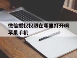微信授权权限在哪里打开啊苹果手机