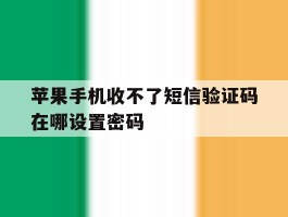 苹果手机收不了短信验证码在哪设置密码