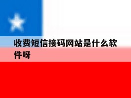 收费短信接码网站是什么软件呀