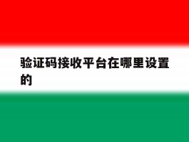 验证码接收平台在哪里设置的