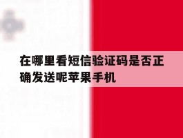 在哪里看短信验证码是否正确发送呢苹果手机的简单介绍