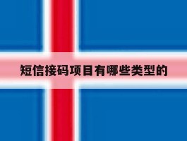 短信接码项目有哪些类型的
