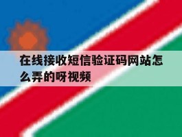 在线接收短信验证码网站怎么弄的呀视频