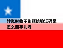 包含转账时收不到短信验证码是怎么回事儿呀的词条