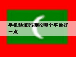 手机验证码接收哪个平台好一点