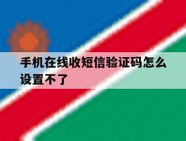 手机在线收短信验证码怎么设置不了