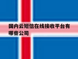 国内云短信在线接收平台有哪些公司