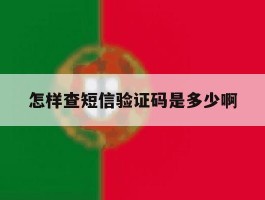 怎样查短信验证码是多少啊