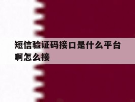 关于短信验证码接口是什么平台啊怎么接的信息