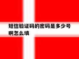 短信验证码的密码是多少号啊怎么填