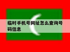 临时手机号网址怎么查询号码信息