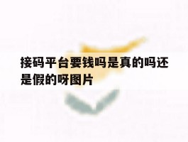 关于接码平台要钱吗是真的吗还是假的呀图片的信息