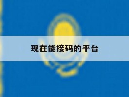 现在能接码的平台