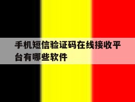 手机短信验证码在线接收平台有哪些软件的简单介绍