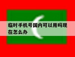 临时手机号国内可以用吗现在怎么办