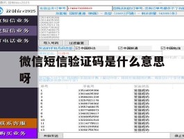 微信短信验证码是什么意思呀