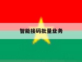 智能接码批量业务