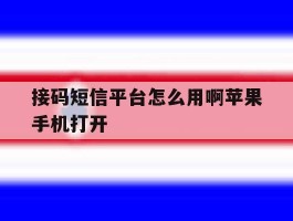 接码短信平台怎么用啊苹果手机打开