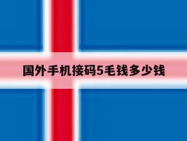 国外手机接码5毛钱多少钱