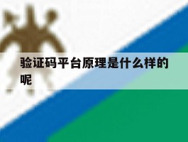 验证码平台原理是什么样的呢