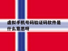 包含虚拟手机号码验证码软件是什么意思呀的词条