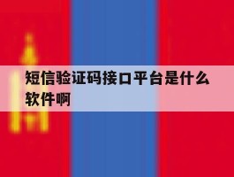 短信验证码接口平台是什么软件啊