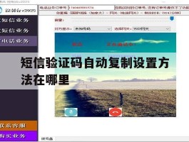 短信验证码自动复制设置方法在哪里
