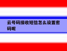 云号码接收短信怎么设置密码呢