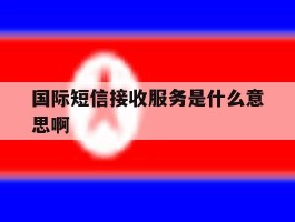 国际短信接收服务是什么意思啊