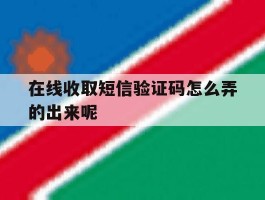在线收取短信验证码怎么弄的出来呢