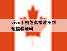 vivo手机怎么接收不到短信验证码
