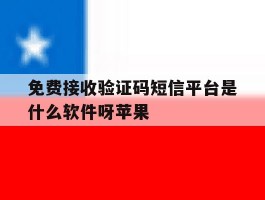 免费接收验证码短信平台是什么软件呀苹果