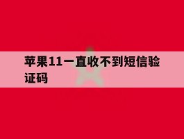 苹果11一直收不到短信验证码