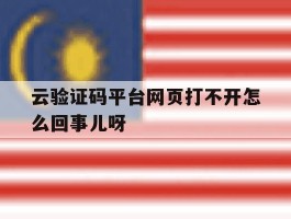 关于云验证码平台网页打不开怎么回事儿呀的信息