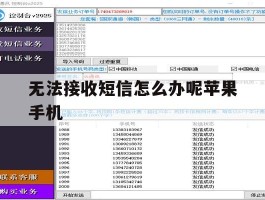无法接收短信怎么办呢苹果手机