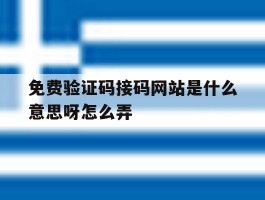 免费验证码接码网站是什么意思呀怎么弄