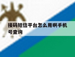 接码短信平台怎么用啊手机号查询