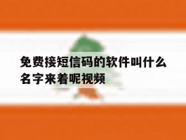 免费接短信码的软件叫什么名字来着呢视频