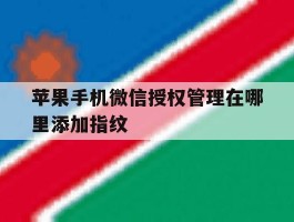 苹果手机微信授权管理在哪里添加指纹