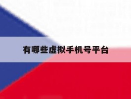 有哪些虚拟手机号平台