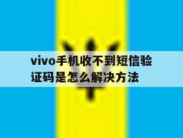 vivo手机收不到短信验证码是怎么解决方法