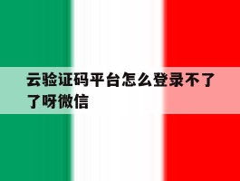 云验证码平台怎么登录不了了呀微信