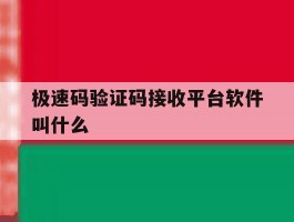 极速码验证码接收平台软件叫什么